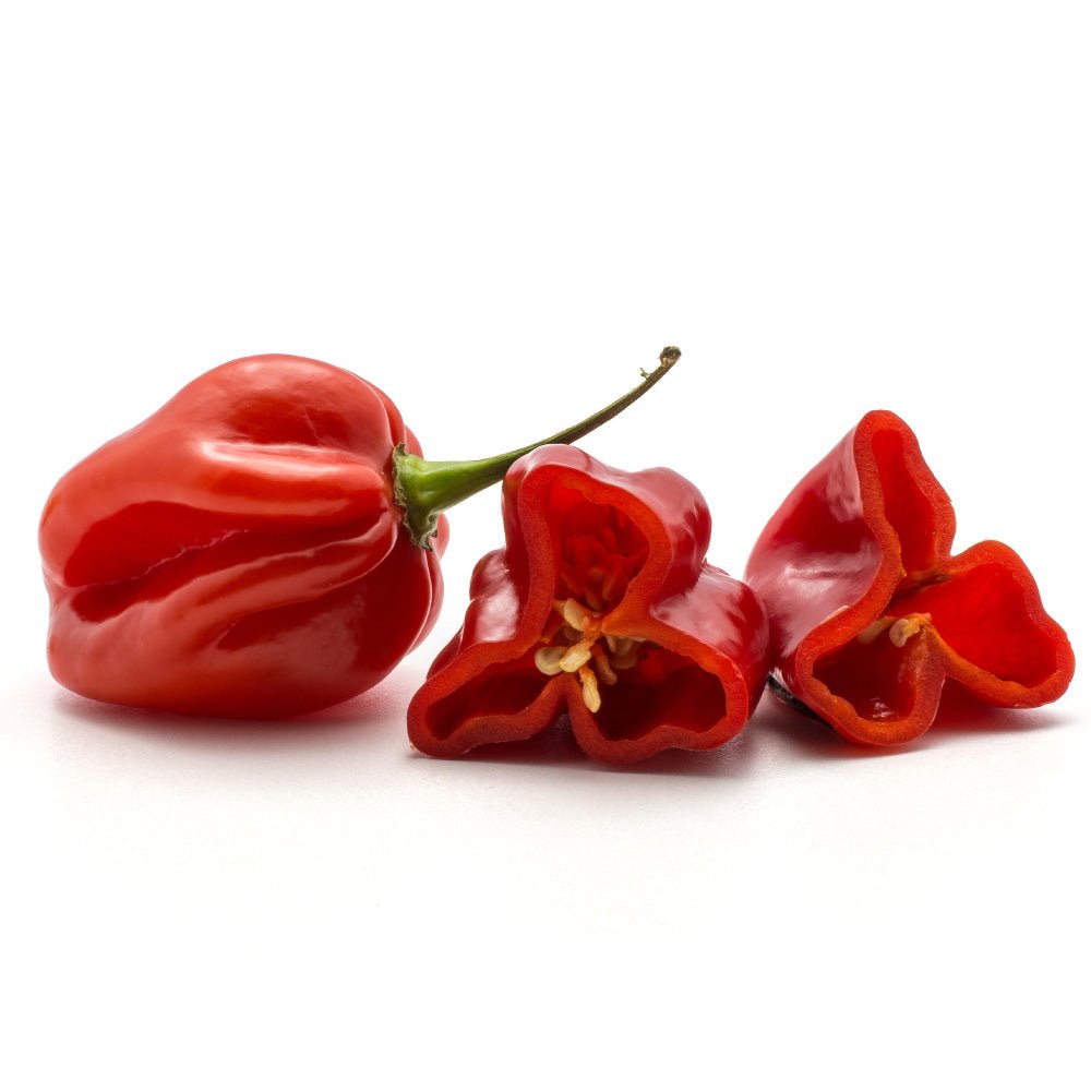 ハバネブロ･オリジナル 120ml / 1本 - Habanebros